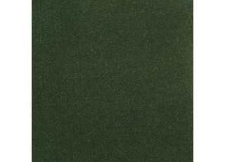 Moquette sol de voiture vert